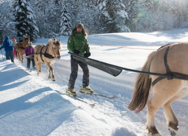  Sortie ski joering entre amigos